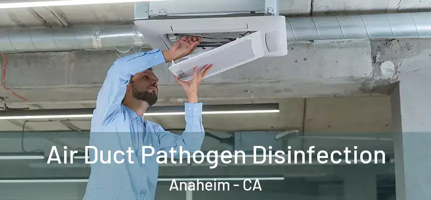  Air Duct Pathogen Disinfection Anaheim - CA