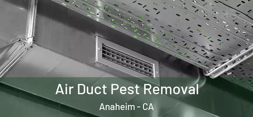  Air Duct Pest Removal Anaheim - CA
