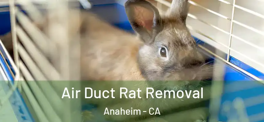 Air Duct Rat Removal Anaheim - CA