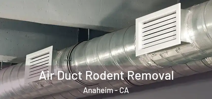  Air Duct Rodent Removal Anaheim - CA