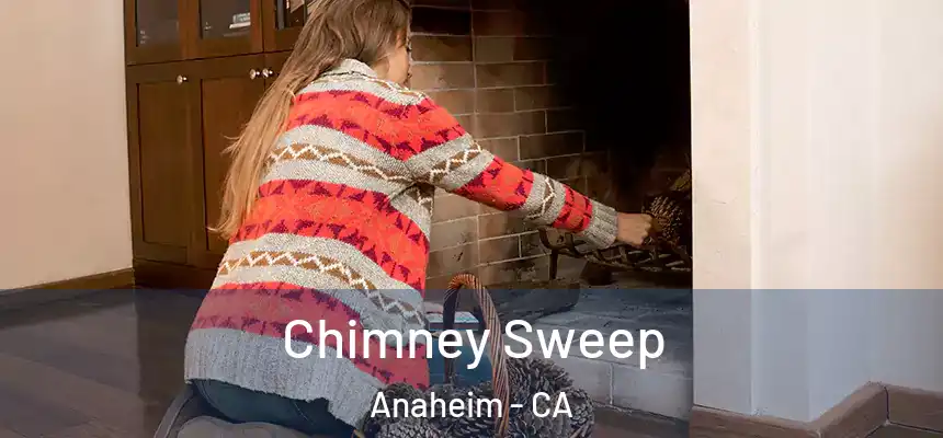  Chimney Sweep Anaheim - CA