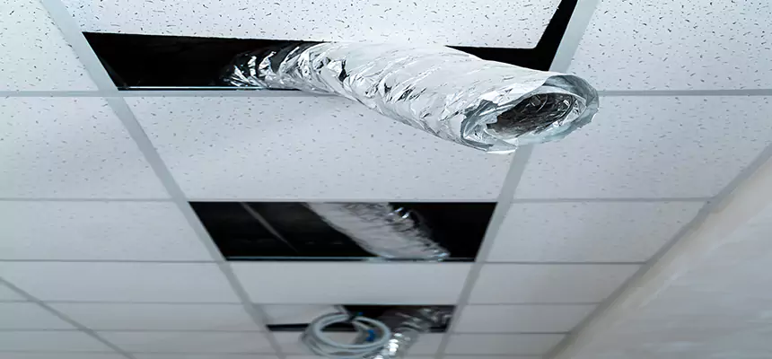 Our Air Duct Pet Hair Removal Services in Anaheim, CA