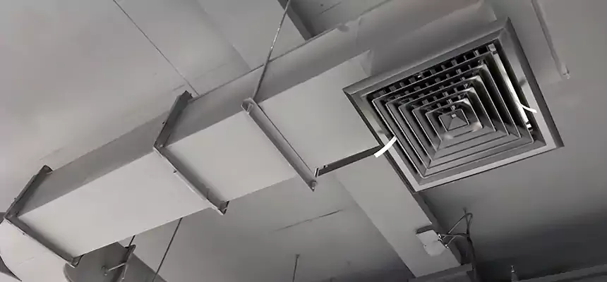 Restorative Allergy Relief Vent Cleaning – Coil, Blower & Housing Detail in Anaheim