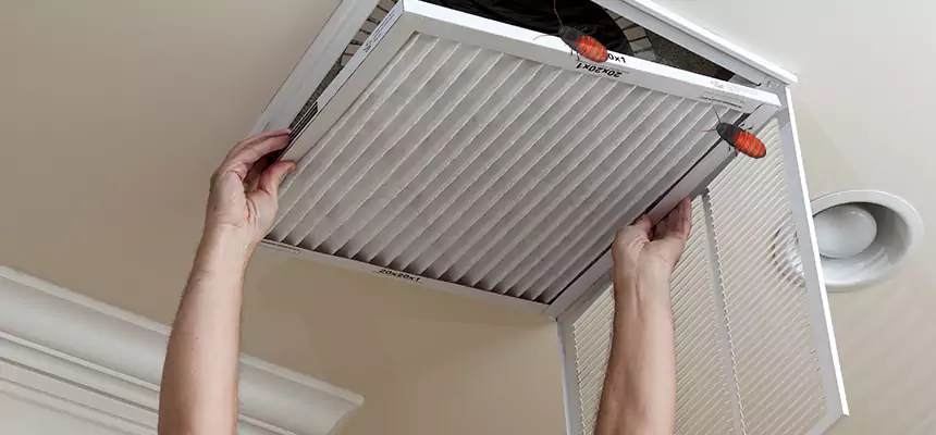 Our Insect Removal from Air Ducts Services in Anaheim, CA
