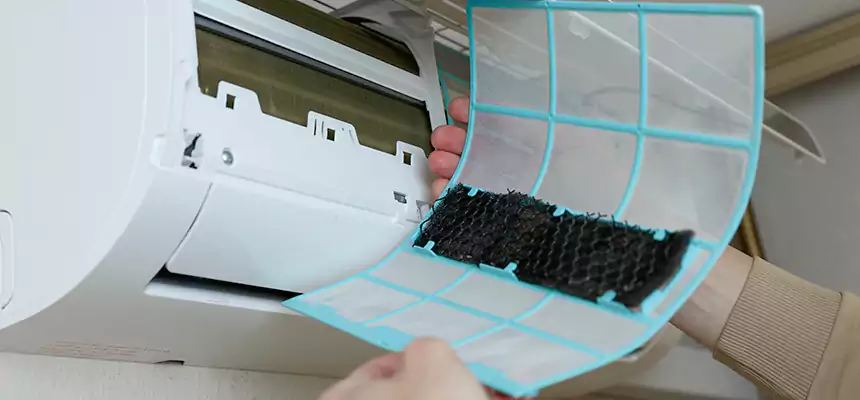 Gentle Ductwork Odor-Control Pet Dander Duct Cleaning in Anaheim, CA