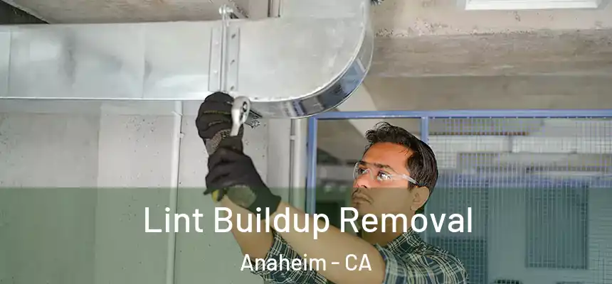  Lint Buildup Removal Anaheim - CA