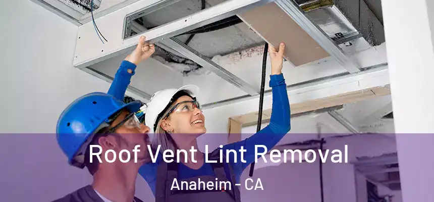  Roof Vent Lint Removal Anaheim - CA