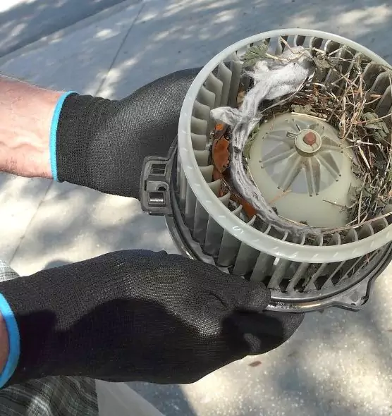 About Air Duct Mice Removal in Anaheim, CA