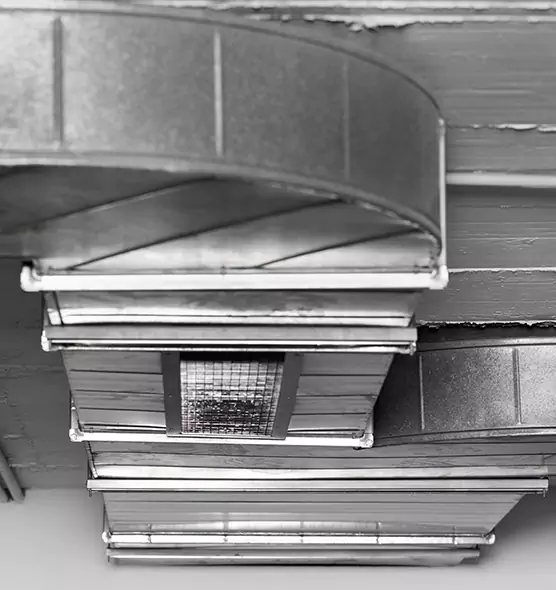 Professional Air Duct Pet Hair Removal in Anaheim, CA