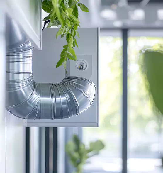 Professional Eco-Friendly Duct Cleaning Services in Anaheim, CA