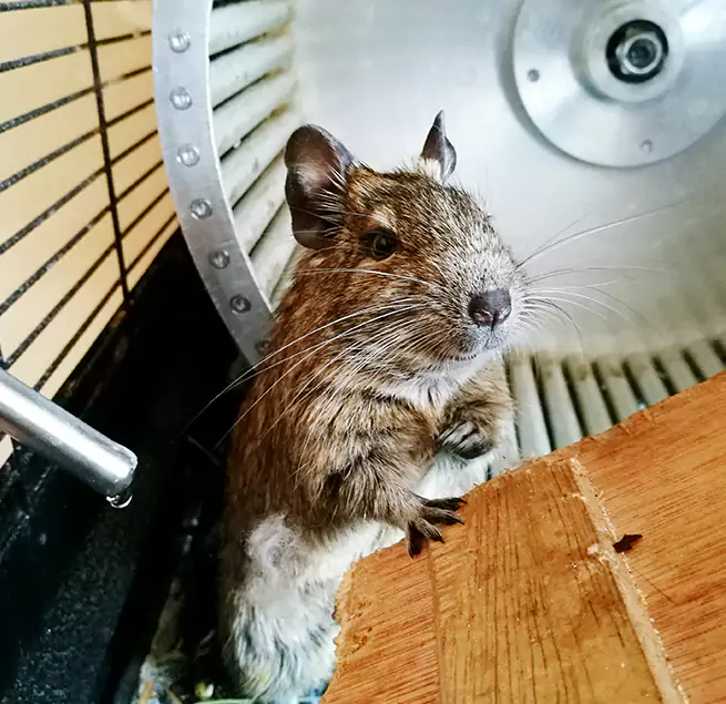 Why Homeowners & Businesses Trust Us Anaheim, CA