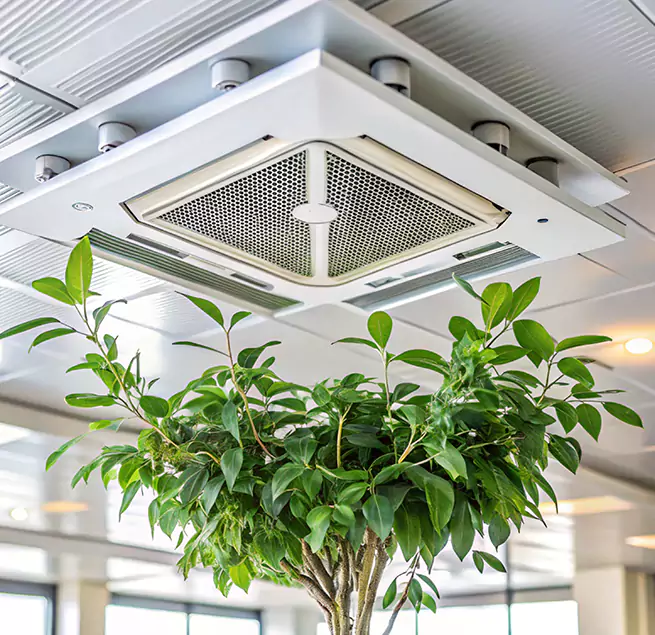 Why Homeowners & Businesses Trust Us in Anaheim, CA?