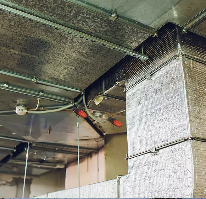 Why Homeowners & Businesses Trust Us Anaheim, CA?